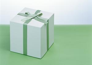 ほうきを専門に扱っているショップです